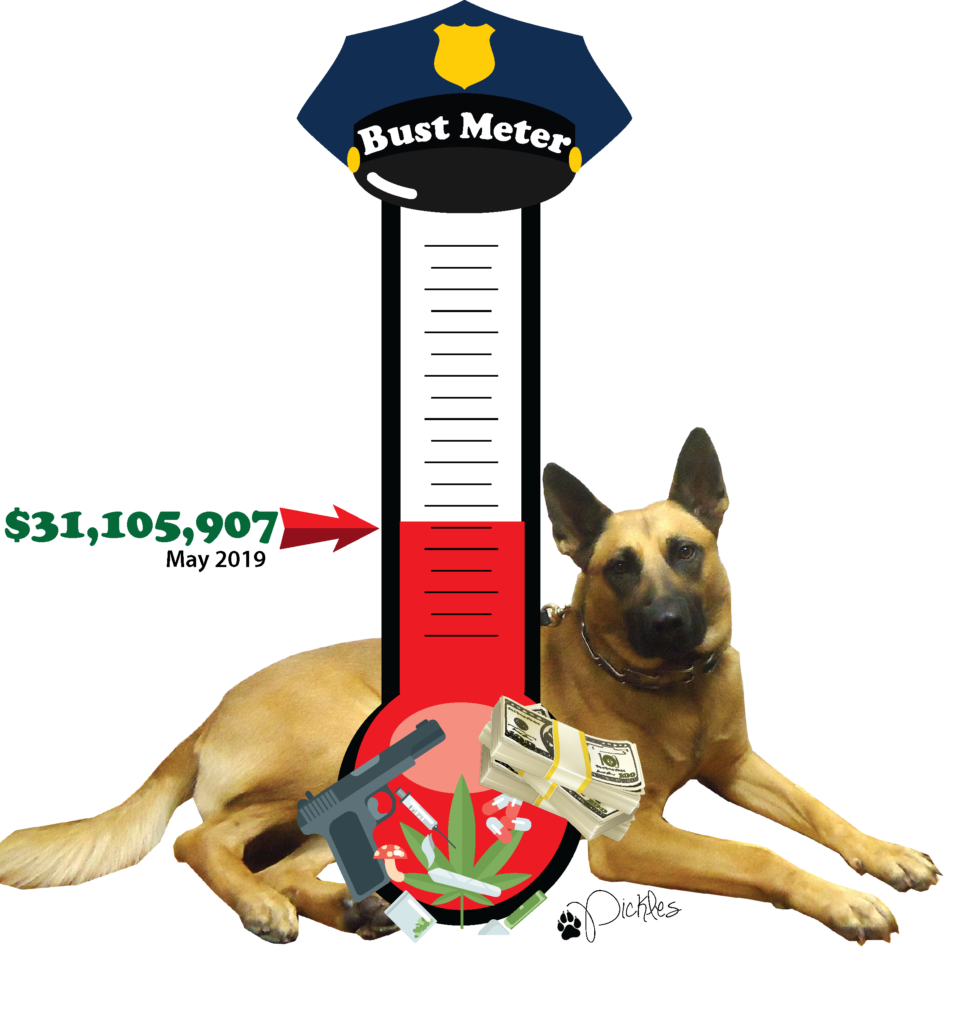 FreedomView Bust Meter